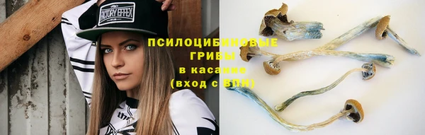 трава Балабаново