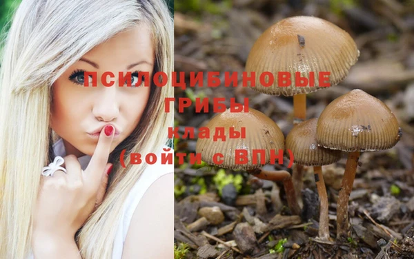гидропоника Балахна