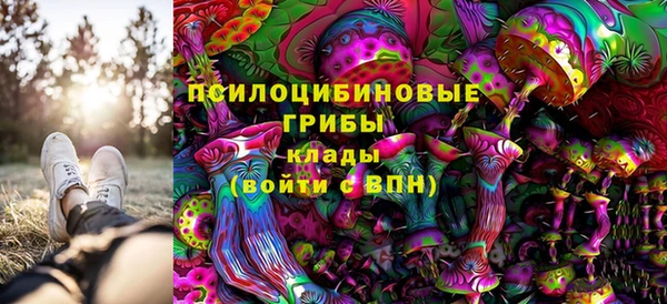 ECSTASY Баксан