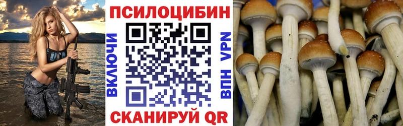 Галлюциногенные грибы мицелий  наркота  Покровск 